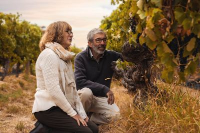 Henschke Hill of Grace Vineyard